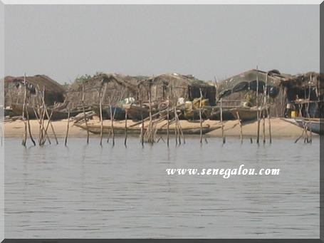 fleuve-casamance.JPG