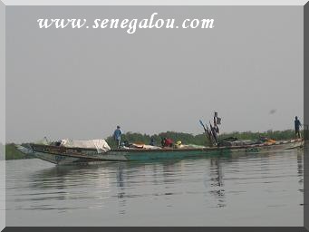 pirogue-casamance.JPG