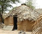 Herbegement senegal